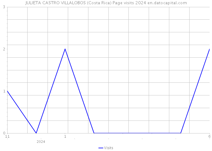 JULIETA CASTRO VILLALOBOS (Costa Rica) Page visits 2024 