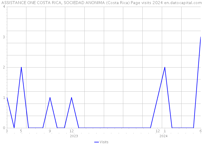 ASSISTANCE ONE COSTA RICA, SOCIEDAD ANONIMA (Costa Rica) Page visits 2024 