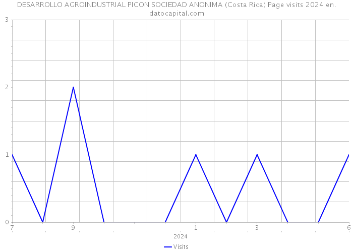 DESARROLLO AGROINDUSTRIAL PICON SOCIEDAD ANONIMA (Costa Rica) Page visits 2024 
