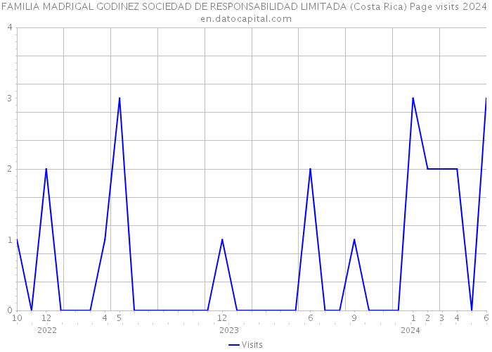 FAMILIA MADRIGAL GODINEZ SOCIEDAD DE RESPONSABILIDAD LIMITADA (Costa Rica) Page visits 2024 
