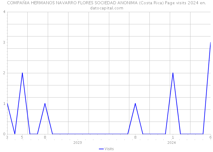 COMPAŃIA HERMANOS NAVARRO FLORES SOCIEDAD ANONIMA (Costa Rica) Page visits 2024 
