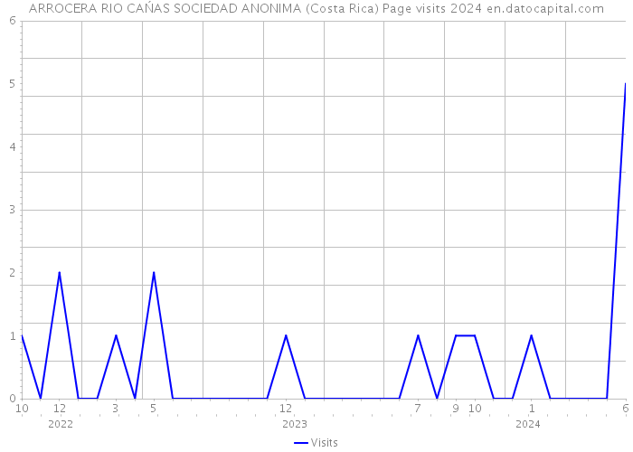 ARROCERA RIO CAŃAS SOCIEDAD ANONIMA (Costa Rica) Page visits 2024 