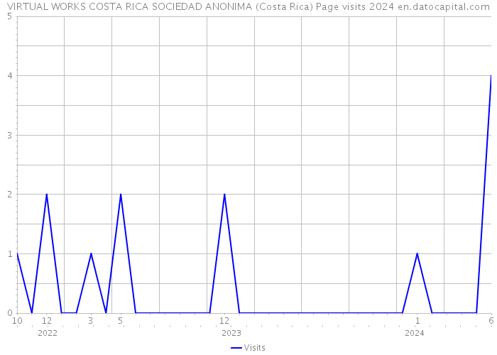 VIRTUAL WORKS COSTA RICA SOCIEDAD ANONIMA (Costa Rica) Page visits 2024 