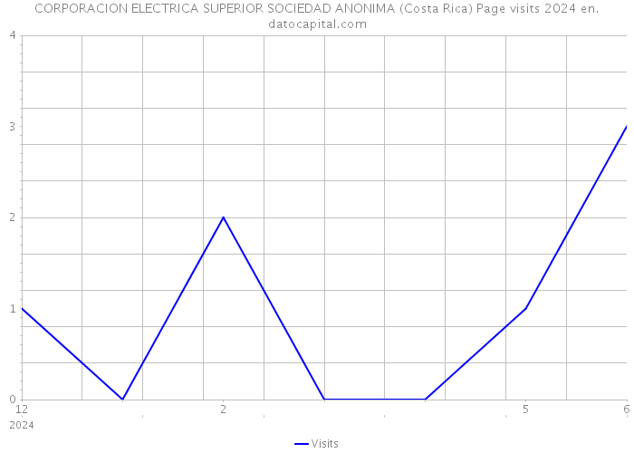 CORPORACION ELECTRICA SUPERIOR SOCIEDAD ANONIMA (Costa Rica) Page visits 2024 