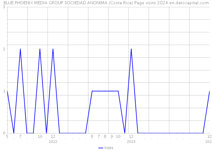 BLUE PHOENIX MEDIA GROUP SOCIEDAD ANONIMA (Costa Rica) Page visits 2024 