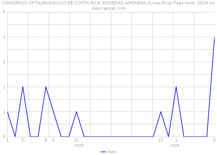 CONSORCIO OFTALMOLOGICO DE COSTA RICA SOCIEDAD ANONIMA (Costa Rica) Page visits 2024 