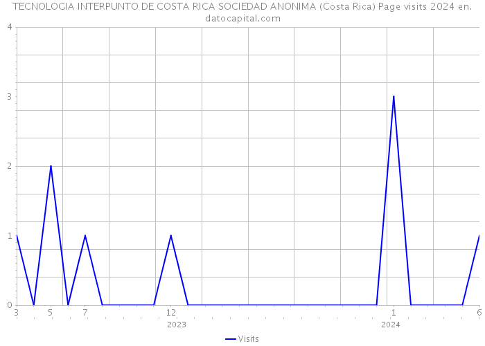 TECNOLOGIA INTERPUNTO DE COSTA RICA SOCIEDAD ANONIMA (Costa Rica) Page visits 2024 