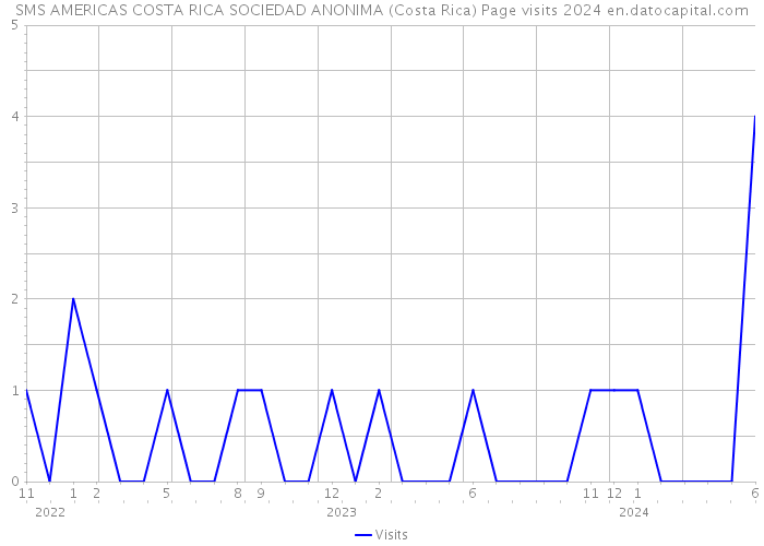 SMS AMERICAS COSTA RICA SOCIEDAD ANONIMA (Costa Rica) Page visits 2024 