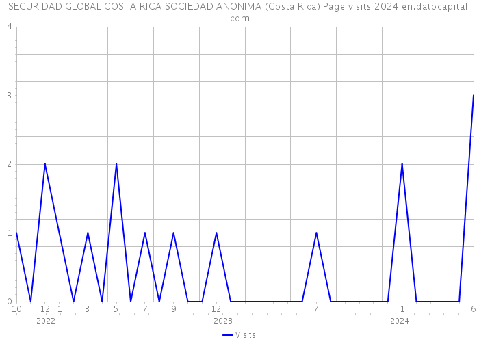 SEGURIDAD GLOBAL COSTA RICA SOCIEDAD ANONIMA (Costa Rica) Page visits 2024 