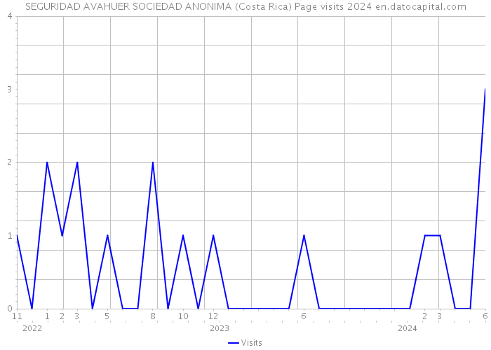 SEGURIDAD AVAHUER SOCIEDAD ANONIMA (Costa Rica) Page visits 2024 