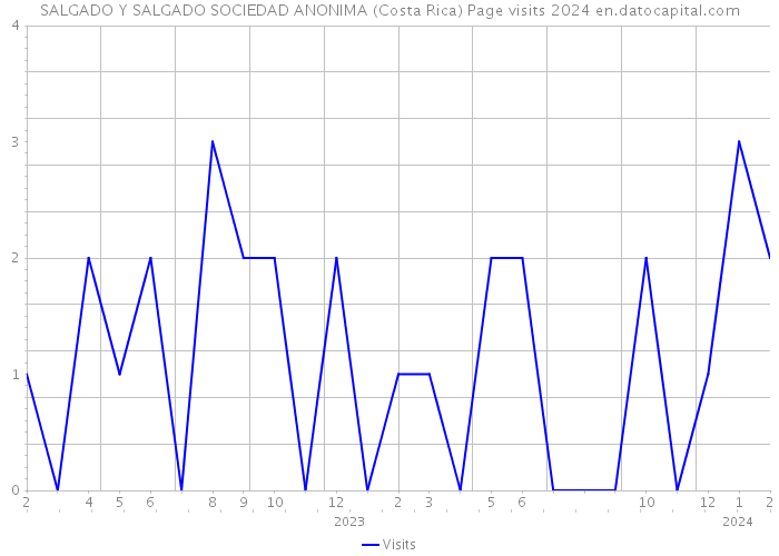 SALGADO Y SALGADO SOCIEDAD ANONIMA (Costa Rica) Page visits 2024 