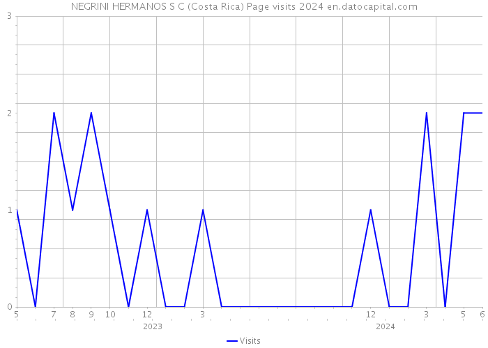 NEGRINI HERMANOS S C (Costa Rica) Page visits 2024 