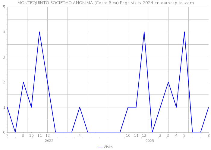 MONTEQUINTO SOCIEDAD ANONIMA (Costa Rica) Page visits 2024 