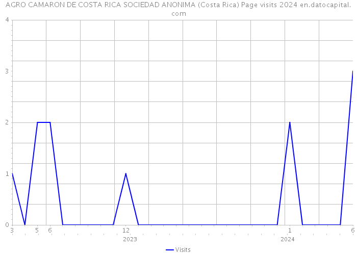 AGRO CAMARON DE COSTA RICA SOCIEDAD ANONIMA (Costa Rica) Page visits 2024 