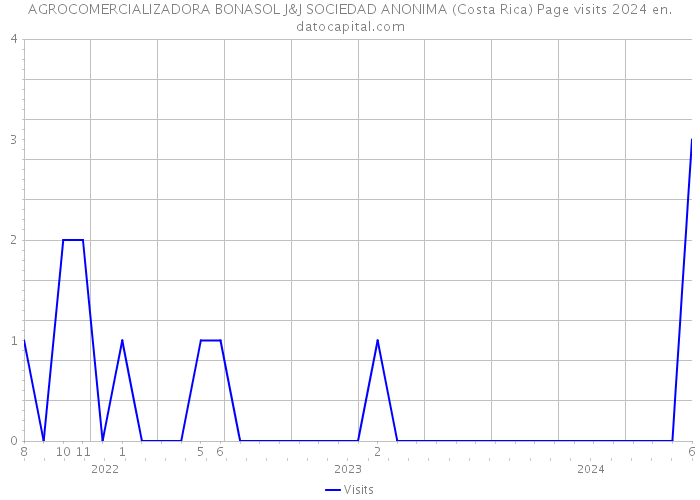 AGROCOMERCIALIZADORA BONASOL J&J SOCIEDAD ANONIMA (Costa Rica) Page visits 2024 