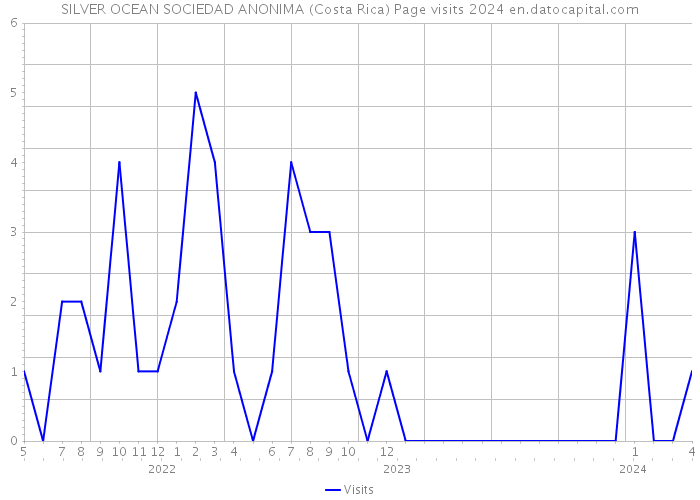 SILVER OCEAN SOCIEDAD ANONIMA (Costa Rica) Page visits 2024 