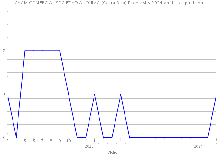 CAAM COMERCIAL SOCIEDAD ANONIMA (Costa Rica) Page visits 2024 