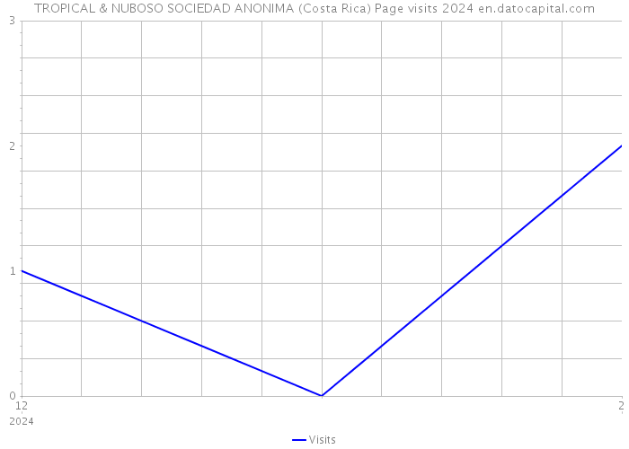 TROPICAL & NUBOSO SOCIEDAD ANONIMA (Costa Rica) Page visits 2024 