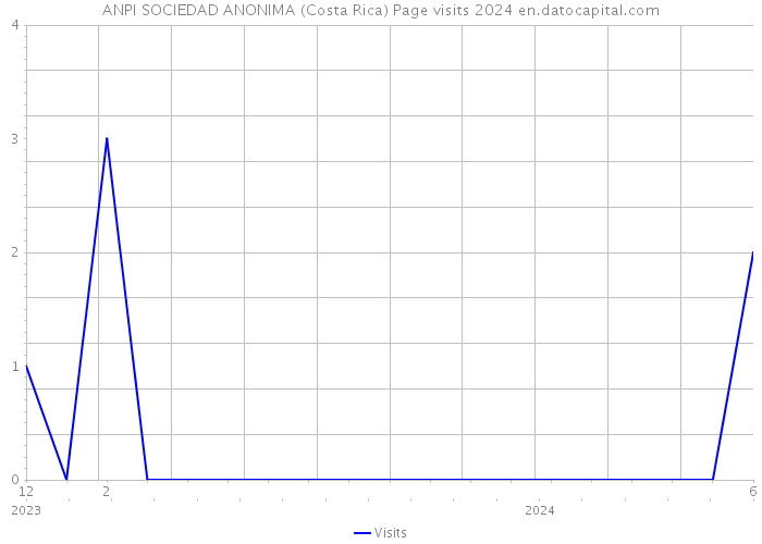 ANPI SOCIEDAD ANONIMA (Costa Rica) Page visits 2024 