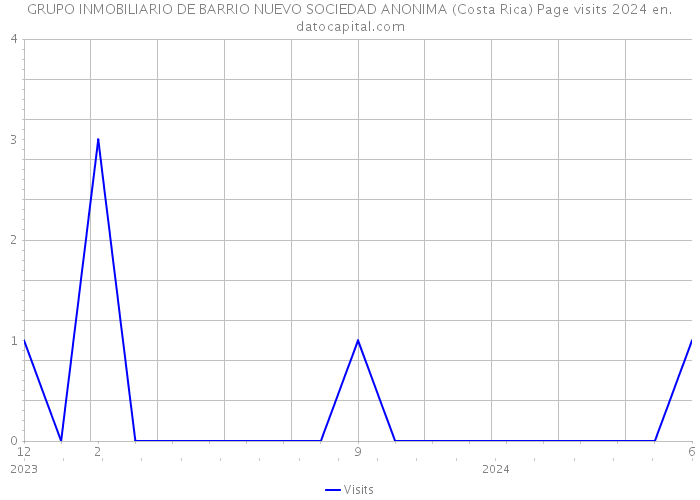 GRUPO INMOBILIARIO DE BARRIO NUEVO SOCIEDAD ANONIMA (Costa Rica) Page visits 2024 