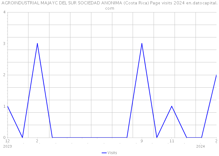 AGROINDUSTRIAL MAJAYC DEL SUR SOCIEDAD ANONIMA (Costa Rica) Page visits 2024 