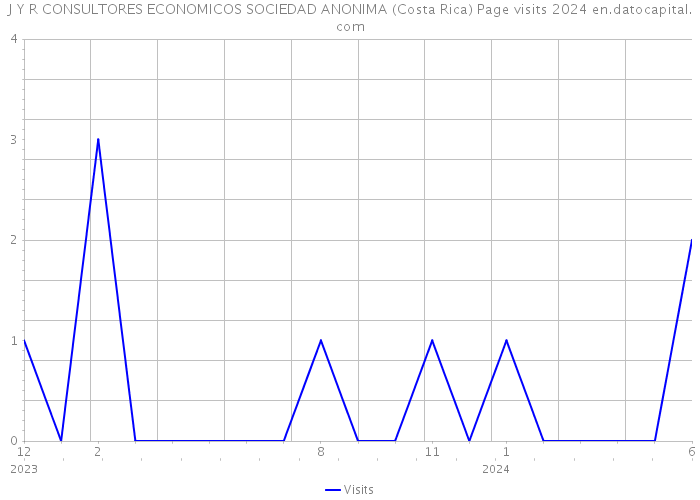 J Y R CONSULTORES ECONOMICOS SOCIEDAD ANONIMA (Costa Rica) Page visits 2024 