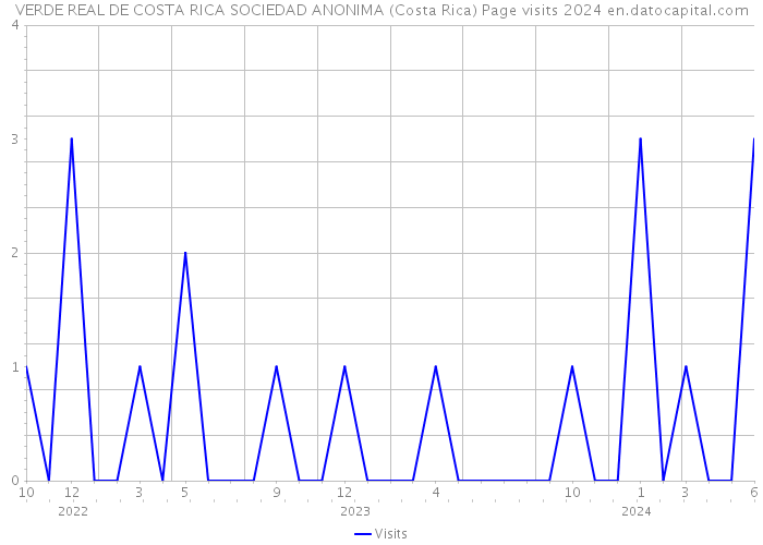 VERDE REAL DE COSTA RICA SOCIEDAD ANONIMA (Costa Rica) Page visits 2024 