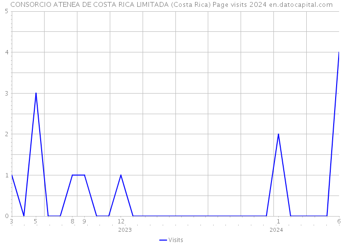 CONSORCIO ATENEA DE COSTA RICA LIMITADA (Costa Rica) Page visits 2024 