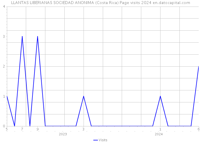 LLANTAS LIBERIANAS SOCIEDAD ANONIMA (Costa Rica) Page visits 2024 