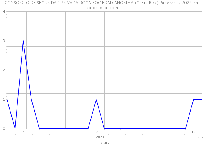 CONSORCIO DE SEGURIDAD PRIVADA ROGA SOCIEDAD ANONIMA (Costa Rica) Page visits 2024 