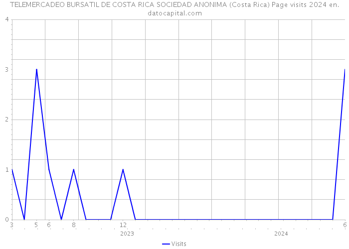 TELEMERCADEO BURSATIL DE COSTA RICA SOCIEDAD ANONIMA (Costa Rica) Page visits 2024 