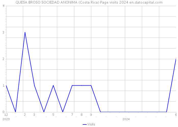 QUESA BROSO SOCIEDAD ANONIMA (Costa Rica) Page visits 2024 