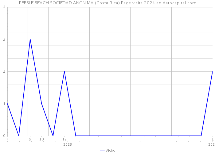 PEBBLE BEACH SOCIEDAD ANONIMA (Costa Rica) Page visits 2024 