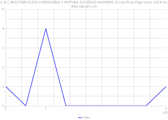 C & C MULTISERVICIOS CARROCERIA Y PINTURA SOCIEDAD ANONIMA (Costa Rica) Page visits 2024 