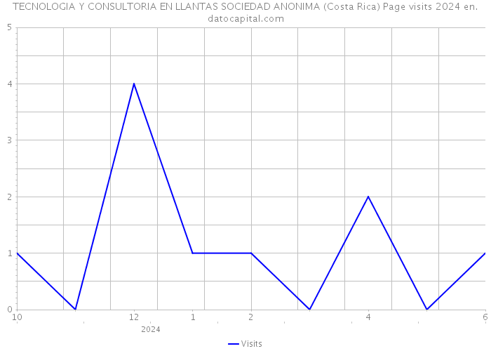 TECNOLOGIA Y CONSULTORIA EN LLANTAS SOCIEDAD ANONIMA (Costa Rica) Page visits 2024 