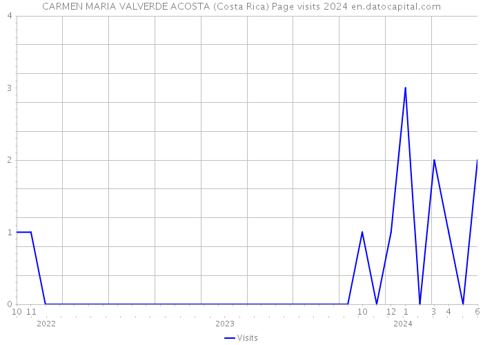 CARMEN MARIA VALVERDE ACOSTA (Costa Rica) Page visits 2024 
