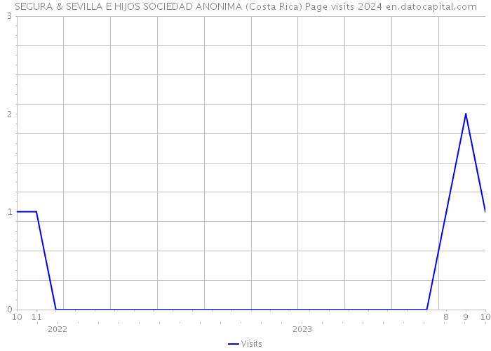 SEGURA & SEVILLA E HIJOS SOCIEDAD ANONIMA (Costa Rica) Page visits 2024 