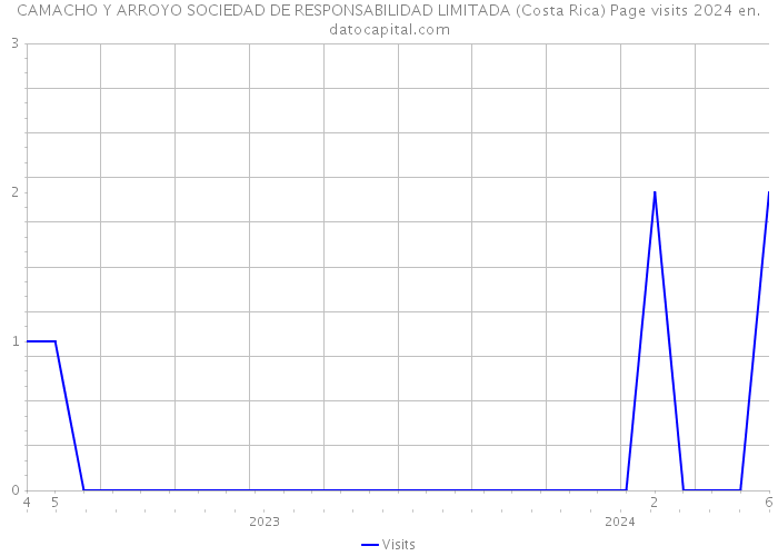 CAMACHO Y ARROYO SOCIEDAD DE RESPONSABILIDAD LIMITADA (Costa Rica) Page visits 2024 