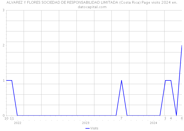 ALVAREZ Y FLORES SOCIEDAD DE RESPONSABILIDAD LIMITADA (Costa Rica) Page visits 2024 