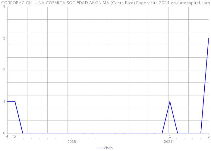 CORPORACION LUNA COSMICA SOCIEDAD ANONIMA (Costa Rica) Page visits 2024 