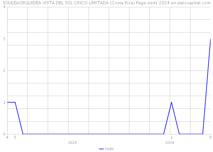 SOULEAORQUIDEA VISTA DEL SOL CINCO LIMITADA (Costa Rica) Page visits 2024 
