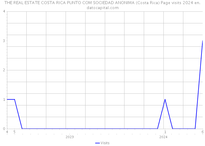 THE REAL ESTATE COSTA RICA PUNTO COM SOCIEDAD ANONIMA (Costa Rica) Page visits 2024 