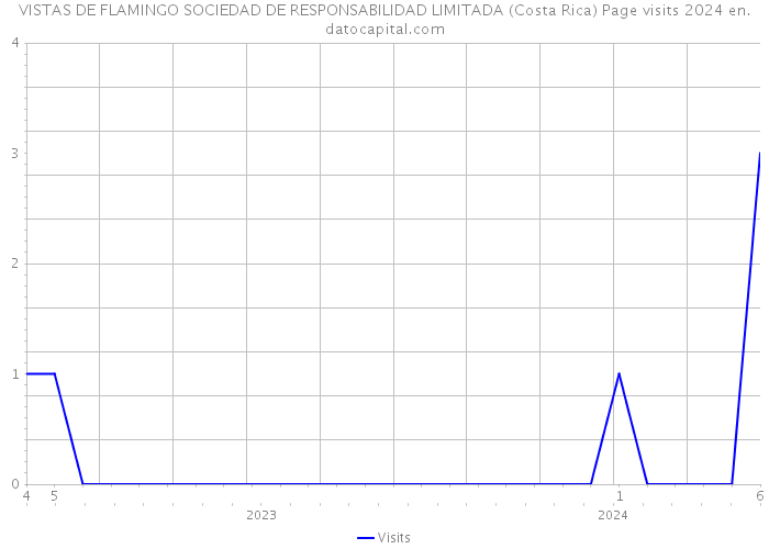VISTAS DE FLAMINGO SOCIEDAD DE RESPONSABILIDAD LIMITADA (Costa Rica) Page visits 2024 
