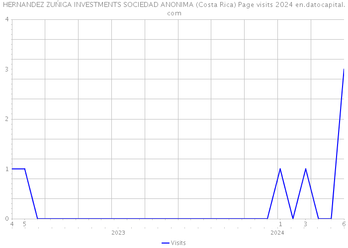 HERNANDEZ ZUŃIGA INVESTMENTS SOCIEDAD ANONIMA (Costa Rica) Page visits 2024 