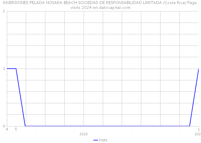 INVERSIONES PELADA NOSARA BEACH SOCIEDAD DE RESPONSABILIDAD LIMITADA (Costa Rica) Page visits 2024 
