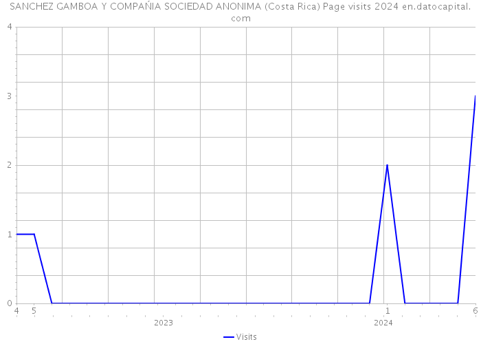 SANCHEZ GAMBOA Y COMPAŃIA SOCIEDAD ANONIMA (Costa Rica) Page visits 2024 