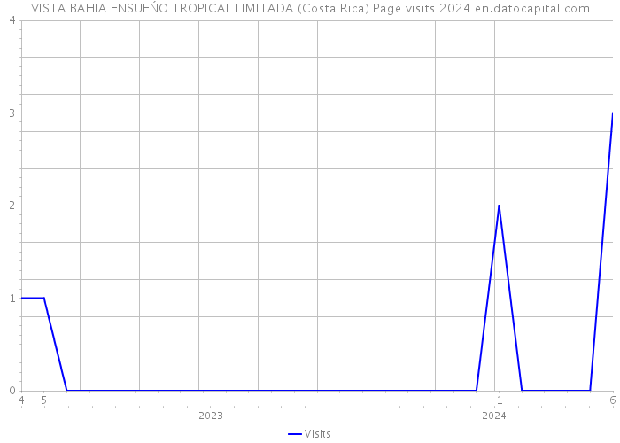 VISTA BAHIA ENSUEŃO TROPICAL LIMITADA (Costa Rica) Page visits 2024 