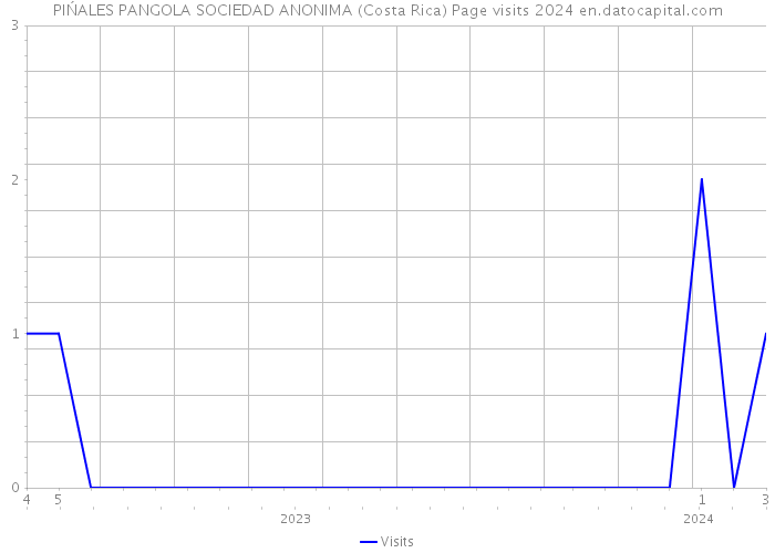 PIŃALES PANGOLA SOCIEDAD ANONIMA (Costa Rica) Page visits 2024 