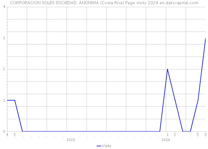 CORPORACION SOLES SOCIEDAD ANONIMA (Costa Rica) Page visits 2024 