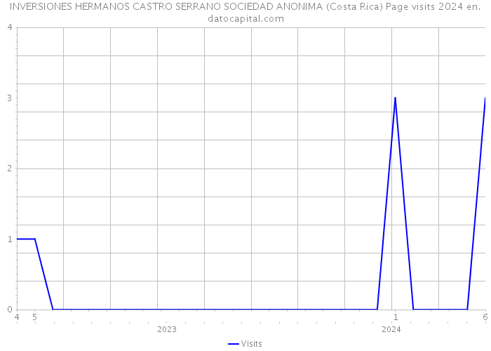 INVERSIONES HERMANOS CASTRO SERRANO SOCIEDAD ANONIMA (Costa Rica) Page visits 2024 